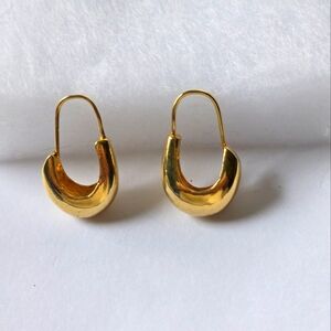 Elegant Gold Hoop Earrings